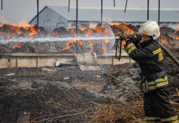 Под Орлом в ферме едва заживо не сгорели 50 животных