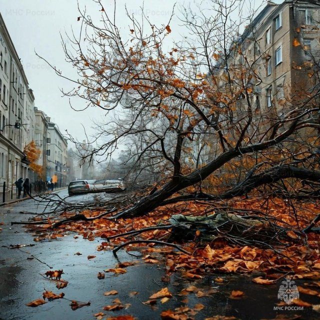 Непогода оставила без электроэнергии 16 муниципальных образований в Орловской области 