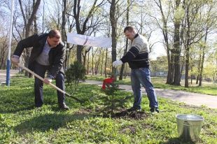 В орловском парке культуры и отдыха навели порядок