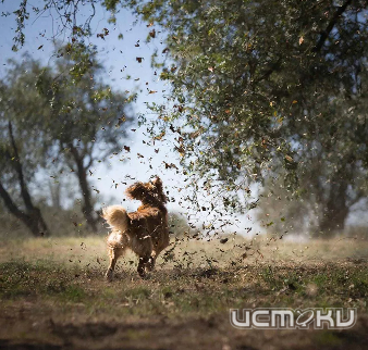 В Орловской области ожидаются порывы ветра до 18 м/с