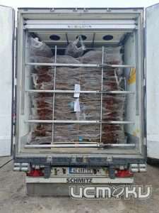 Более 583 тысяч импортных саженцев проконтролированы на складе временного хранения в Орловской области