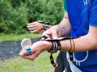 Мы запускаем прямую трансляцию празднования Всемирного дня ориентирования из Медведевского леса