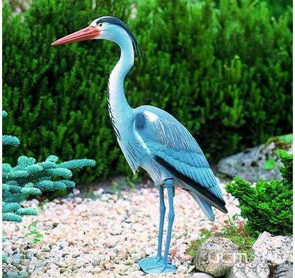 Под Ливнами парочка украла со двора частного дома журавлей