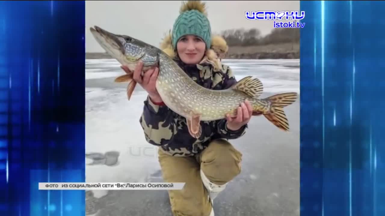 Орловский аэропорт готов принимать самолеты, заявил представитель «Орелгосзаказчика».