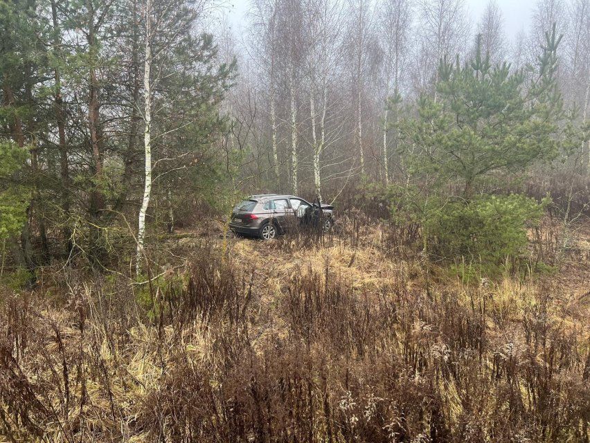 Под Орлом пострадала водитель иномарки, врезавшейся в дерево