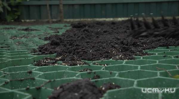 Парковка на даче из газонной решетки