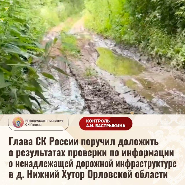 Бастрыкин потребовал разобраться с отсутствием дороги в орловской деревне