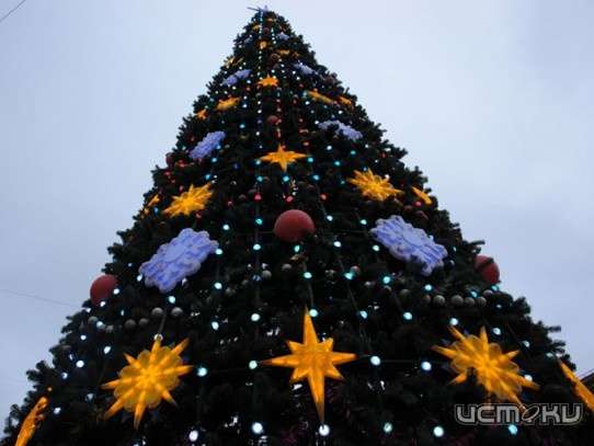 Три елки в городе нарядят за 72 тысячи рублей