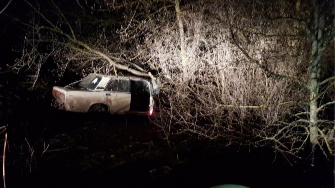 Молодой и пьяный: на Орловщине водитель «семерки» влетел в дерево