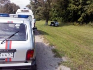 В Урицком районе внедорожник вылетел в кювет