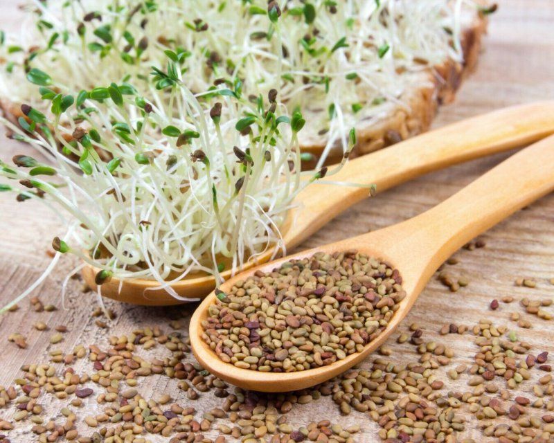 В Орловскую область ввезли 22 тонны семян итальянской люцерны с нарушениями