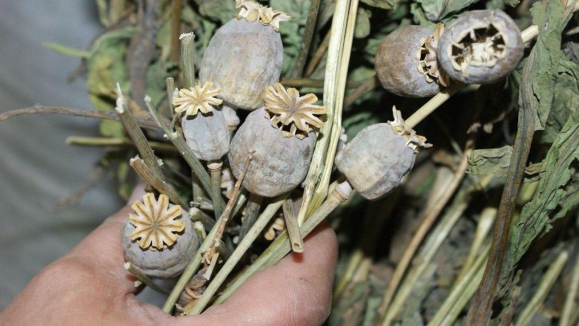 У орловчанина нашли маковую солому