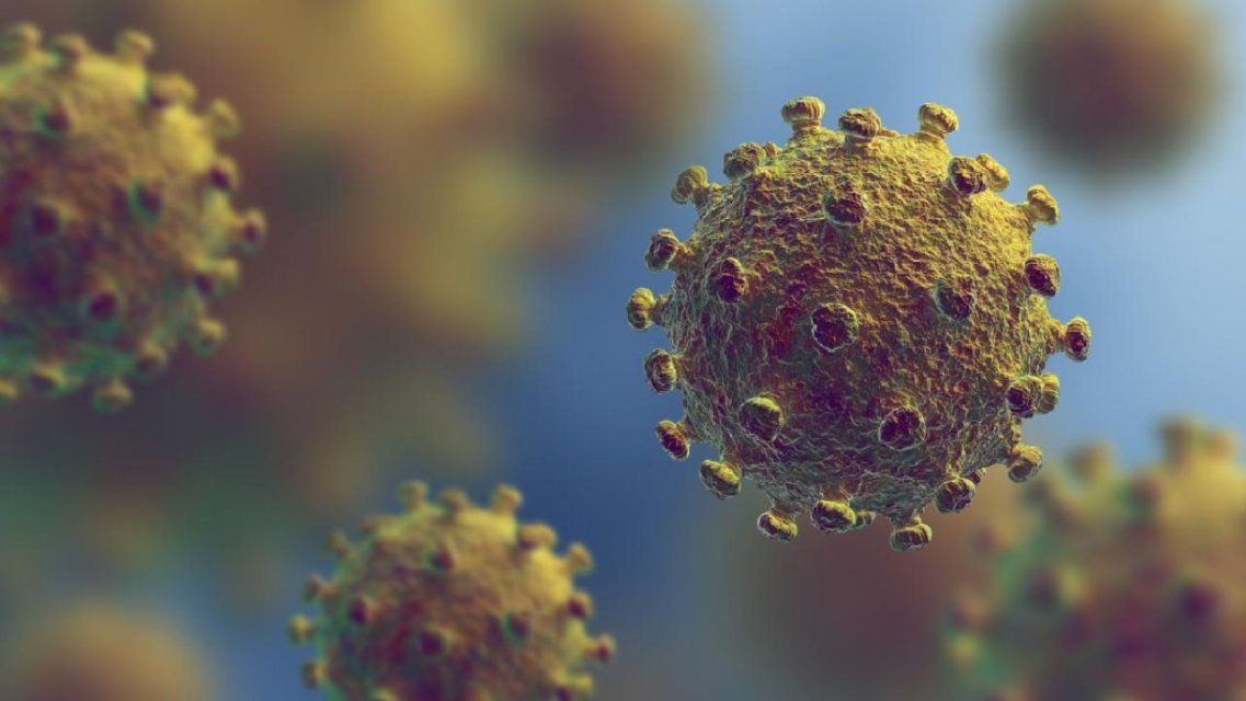 Суточный прирост зараженных COVID-19 на Орловщине выше среднего по России 