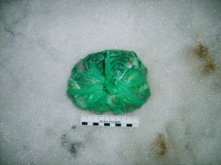 Молодые люди продавали наркотики в Орле