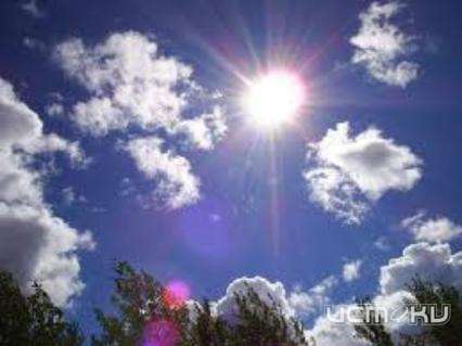 Среда в Орле будет солнечной и теплой