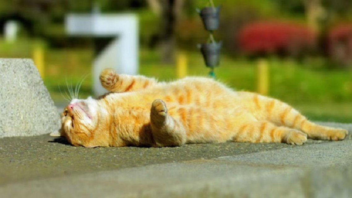 Пятница порадует орловчан солнечной погодой