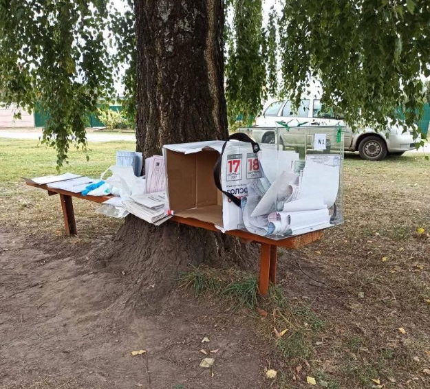 В Хотынце Орловской области продолжают «голосовать на пеньках»