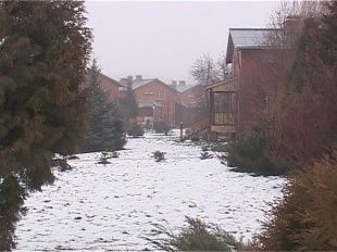 Новогодние чудеса в Лаврово 