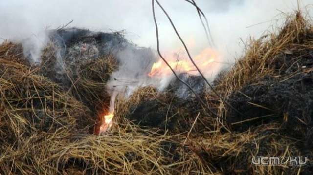 В Орловской области подожгли склад сена