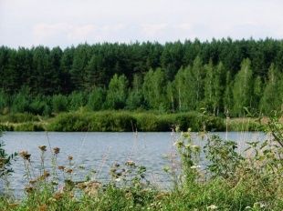 Рейтинг Орловской области