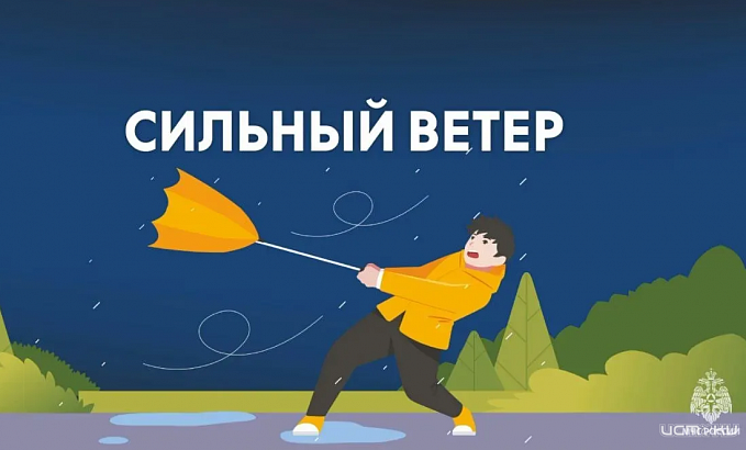 В Орловской области ожидаются порывы ветра до 18 м/c