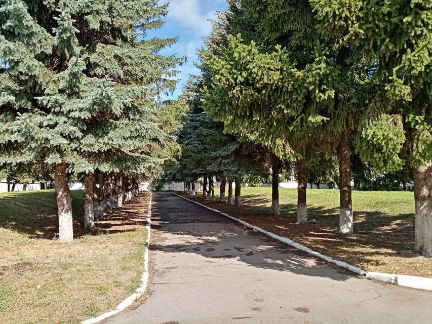 Орловчане снова смогут выбрать, какие общественные места благоустроят в первую очередь