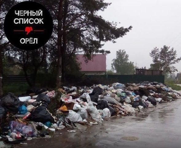 С начала года ни разу не вывозили мусор: в Орле разрастается свалка возле Светлой Жизни