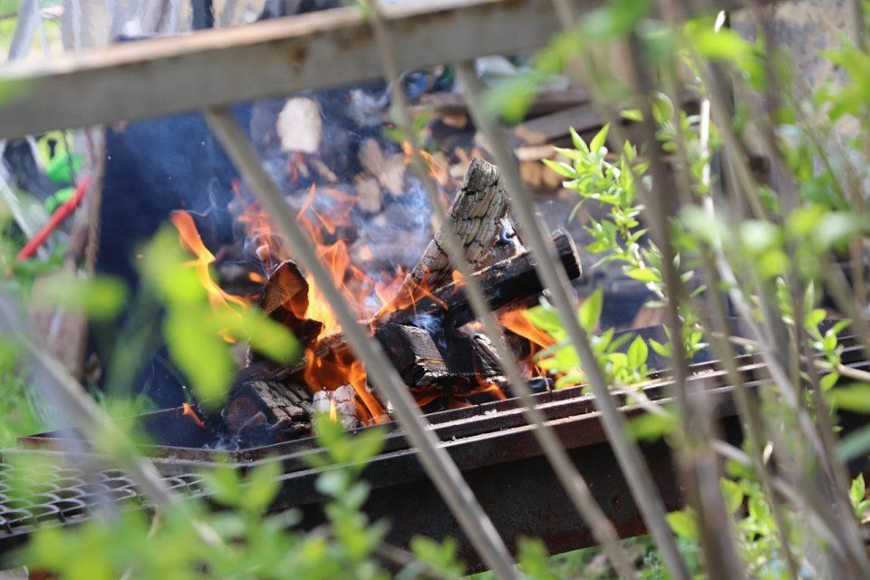 Орловчане заплатили 250 тыс. рублей штрафов за поджоги сухой травы и мусора
