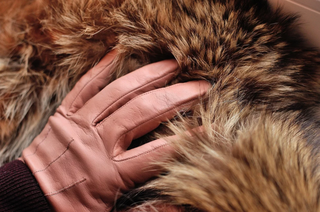 Сожитель украл у орловчанки мобильник и шубу