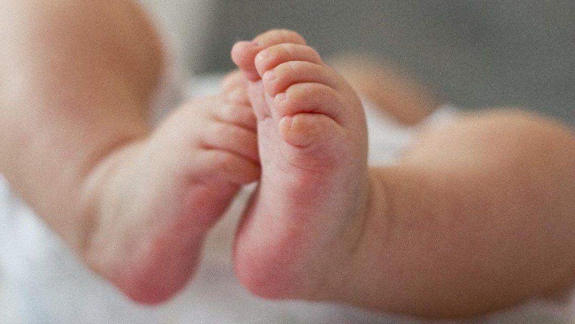 69 орловчанам помогла появиться на свет процедура ЭКО