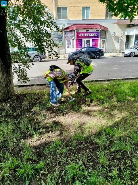 Орловским школьникам предлагают заработать на уборке города