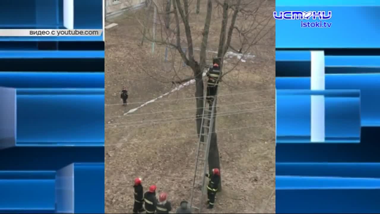 В Орле сотрудники МЧС показали зоозащитникам все нюансы быта и службы огнеборцев