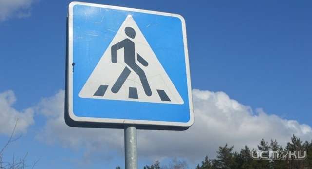 На трассе в Орловской области «Лада» сбила женщину на пешеходном переходе