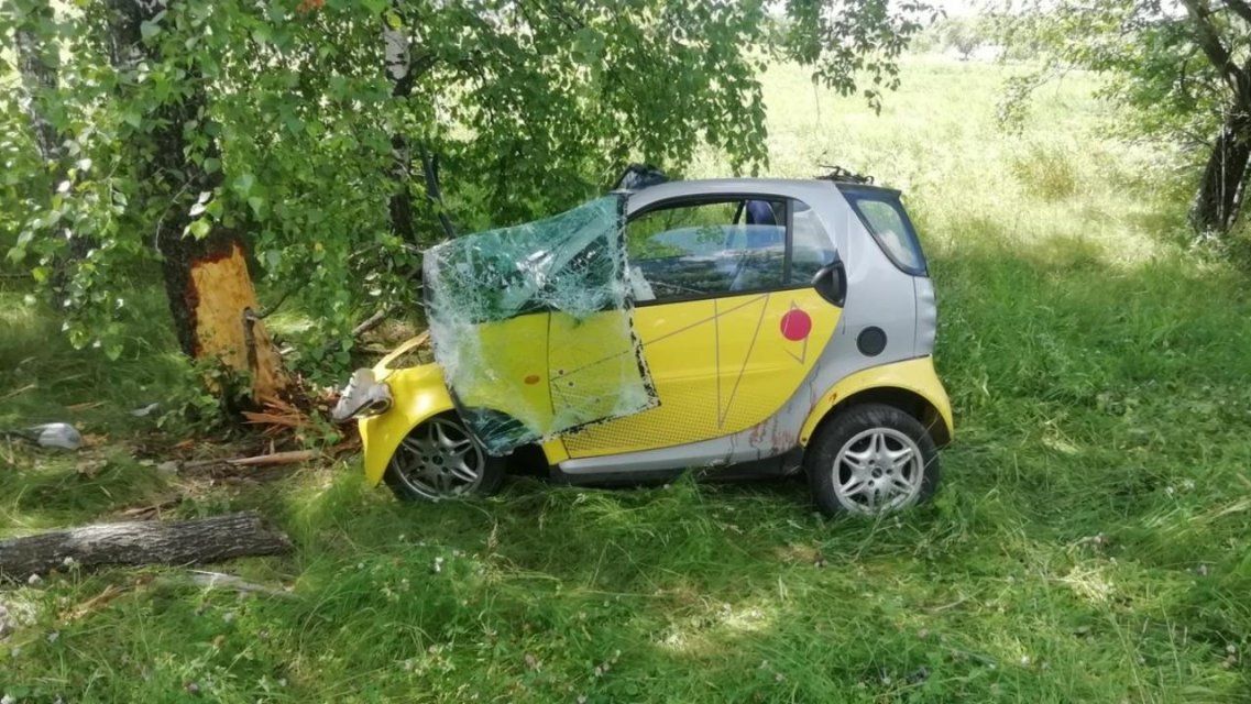 На Орловщине «Смарт» угодил в кювет и врезался в дерево