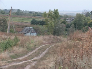 Бизнесмены потянулись в колхозы. Как разворовывают то, что создавалось десятилетиями?