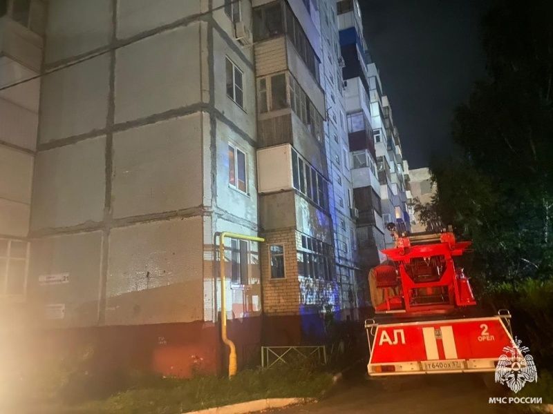 В Орле спасли пятерых детей во время пожара
