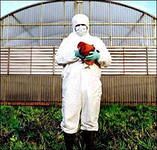 Кипр для орловчан может быть опасен