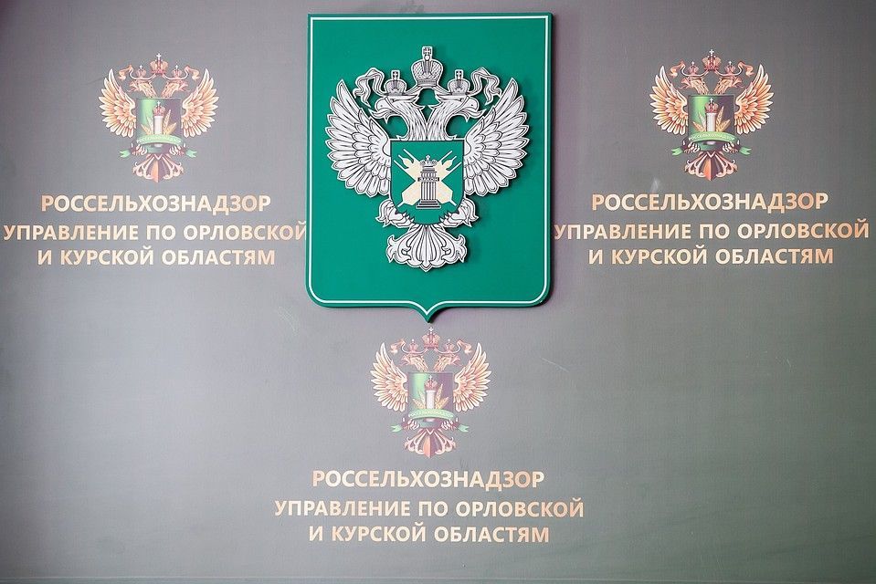 В одном из интернатов Орловской области обнаружили колбасу с антибиотиками 