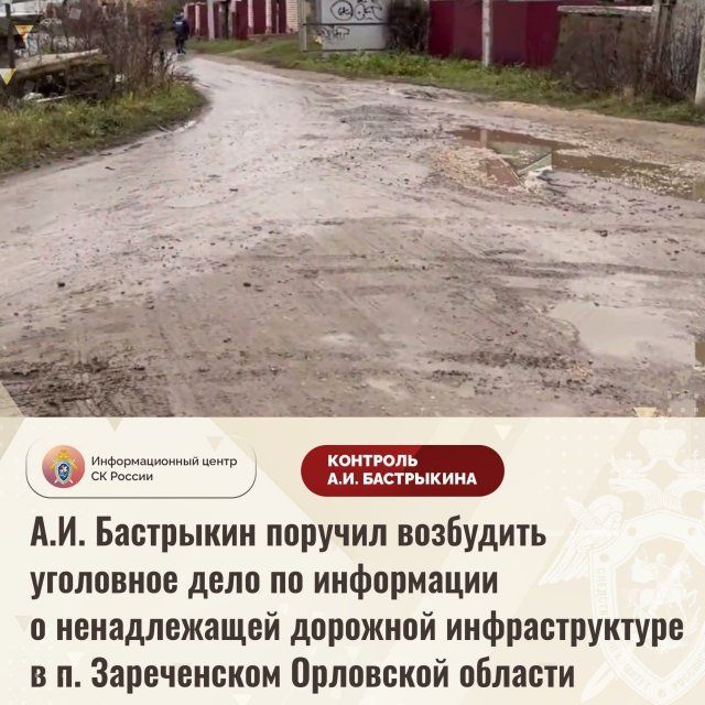 Бастрыкин поручил возбудить уголовное дело по факту разбитой дороги в Орловском МО