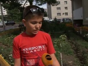 А из нашего окна... 