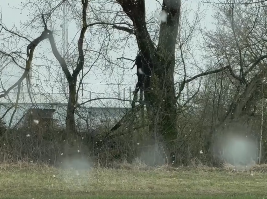 Высаживать рассаду еще рано. Погода в орловском регионе напоминает зимнюю, только без снега