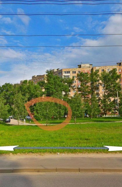 В Орле на прохожего напала агрессивная собака