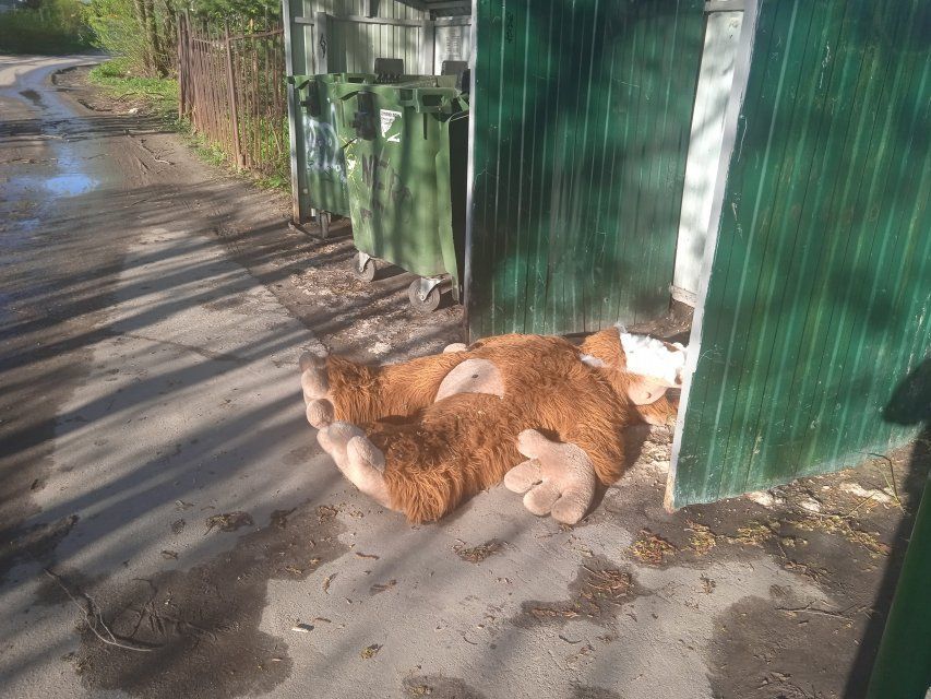 Провал грунта в орловском дворе связали с работой мусоровоза