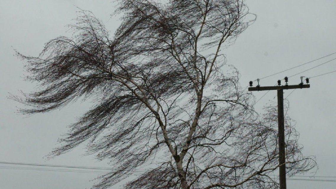 МЧС предупреждает орловчан о порывистом ветре и ночных заморозках