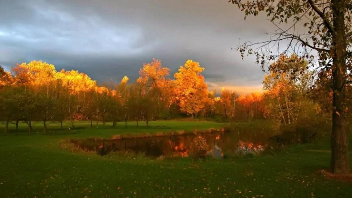 Хмурое небо и +9 °C ждут орловчан в четверг