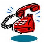 Открыта «горячая линия» по спорту