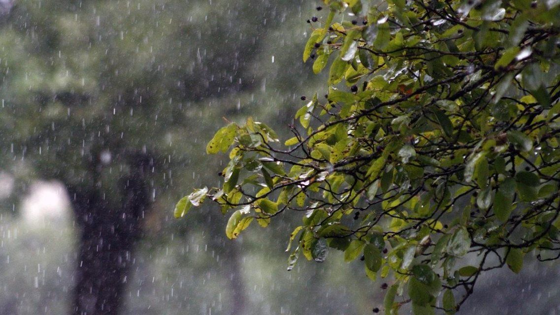 Орел продолжают атаковать дожди и ветер