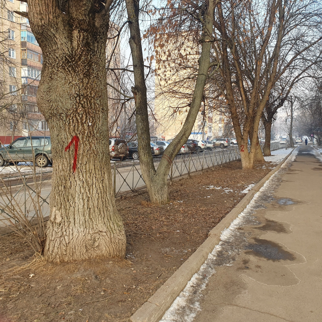 Определили нового народного корреспондента 