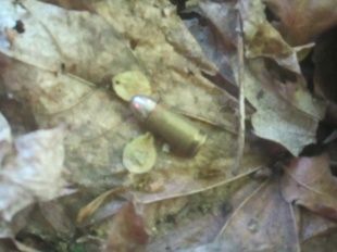 На Курской таможне задержали пистолетные патроны