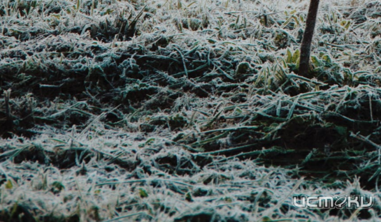 Синоптики предупредили орловчан о надвигающихся заморозках